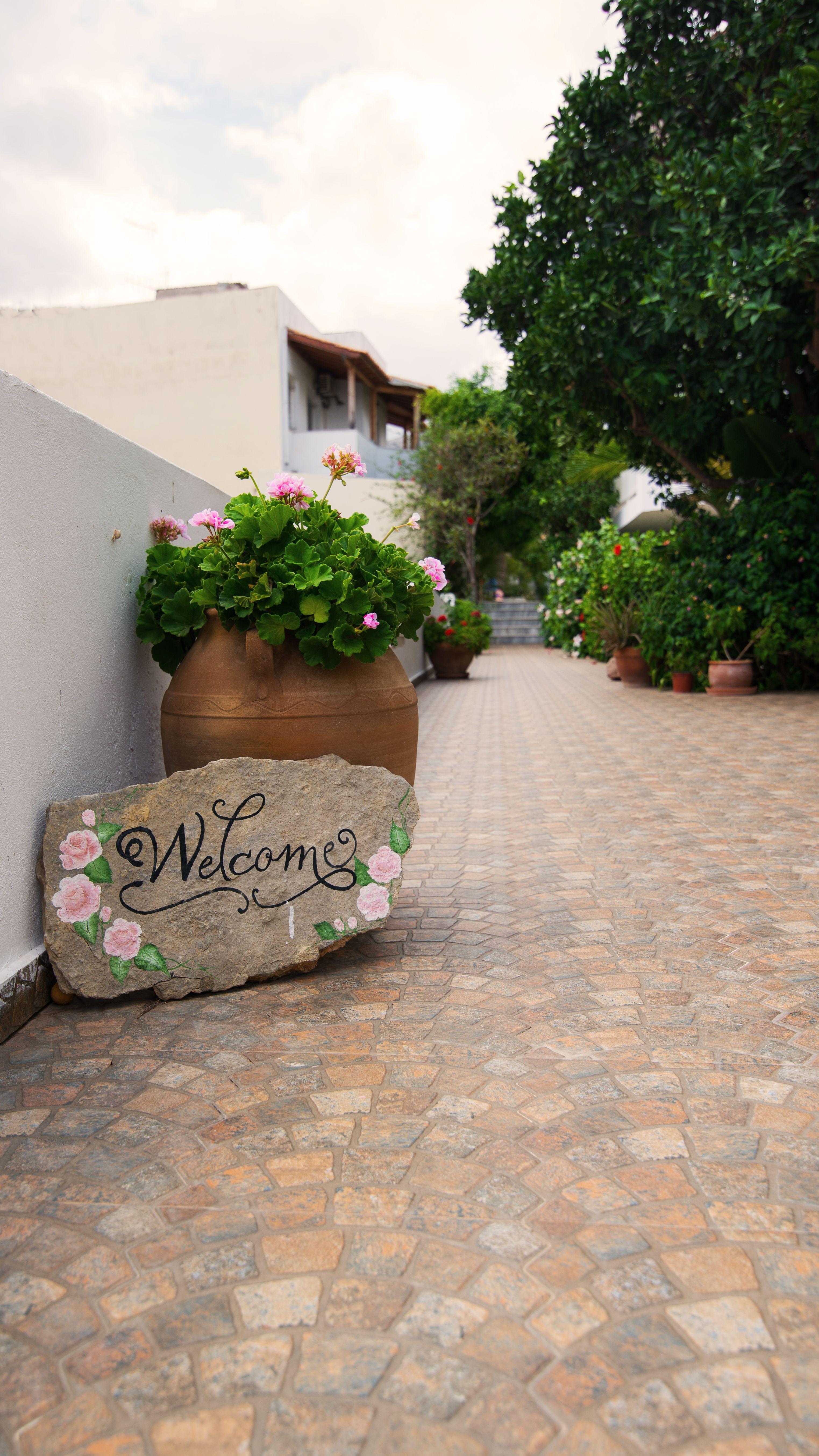 Melissa Apartments, Studios & Suites Malia Extérieur photo