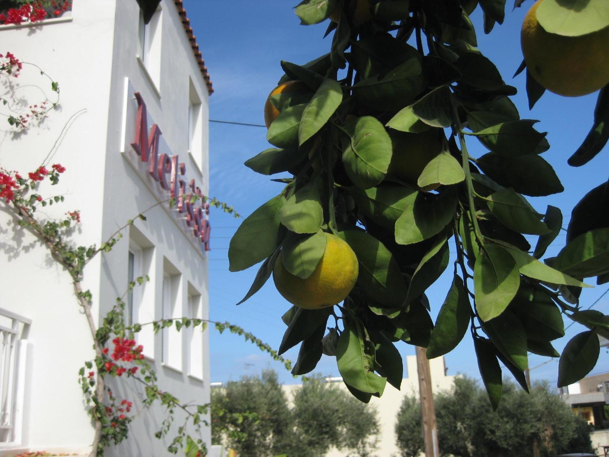 Melissa Apartments, Studios & Suites Malia Extérieur photo